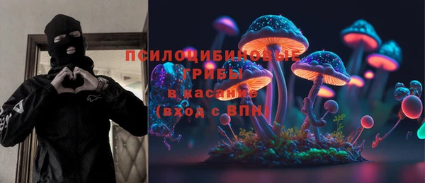 трава Аркадак