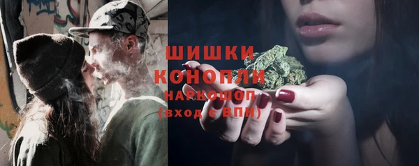 трава Аркадак