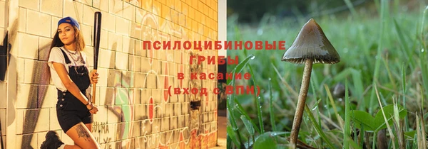трава Аркадак