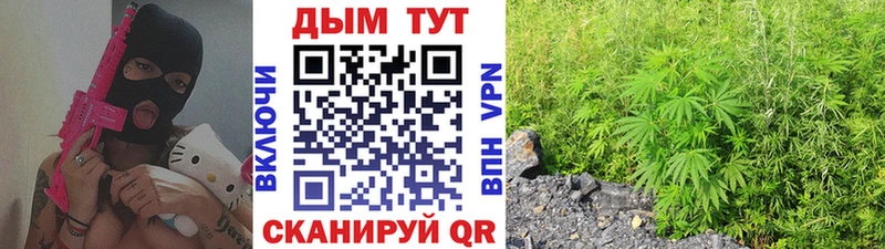 Купить закладки  Новоаннинский  Марихуана план 